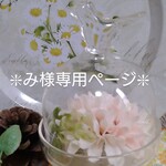 み様専用ページ