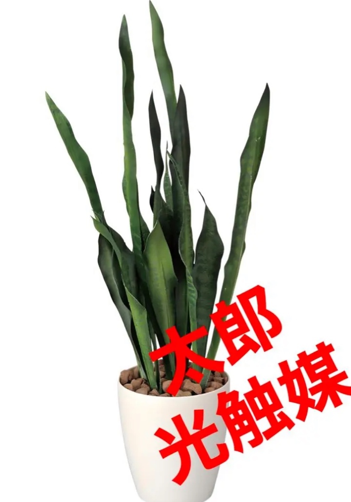 光触媒　人工観葉植物　ウォールグリーン　フェイクグリーン　サンセベリア68