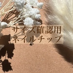 サイズ確認用ネイルチップ