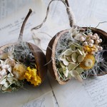 小さな森のブラウンブッダナッツ 【yellow】