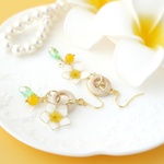 ひだまりのプルメリア　ピアス&イヤリング