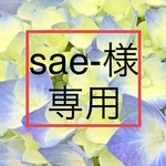 sae様専用ページ