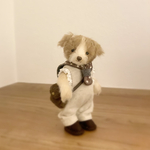 わんこ