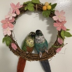 ※専用ページです※tototsubu様ご依頼のウロコインコちゃん達のリースです♪羊毛フェルト