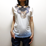 butterfly effect