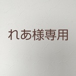 【れあ様専用】トカゲさんたち❤︎
