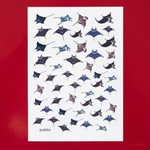 レジン封入用フィルム　マンタ・イラスト