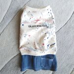 犬服！Msize！スプラッシュステッチ&デニムスカート