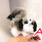森のカーバンクル予約