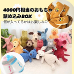おもちゃ 詰め込みBOX お得♡ 犬のおもちゃ
