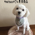 犬用スタイ・バースデースタイ
