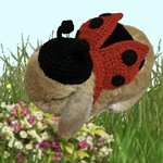 【新作】🌼てんとう虫🐞コスプレset🌼