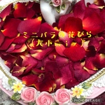 ミニバラ  花びら2g（大小mix）ドライフラワー★花弁ミニローズ★押し花素材