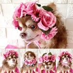 犬帽子 薔薇の花冠🌹ヘッドドレス