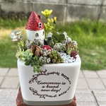 ★送料無料★♡そのまま飾れる♡陶器鉢♬ヨーロピアンガーデンの箱庭風多肉植物寄せ植え╰(*´︶`*)╯♡
