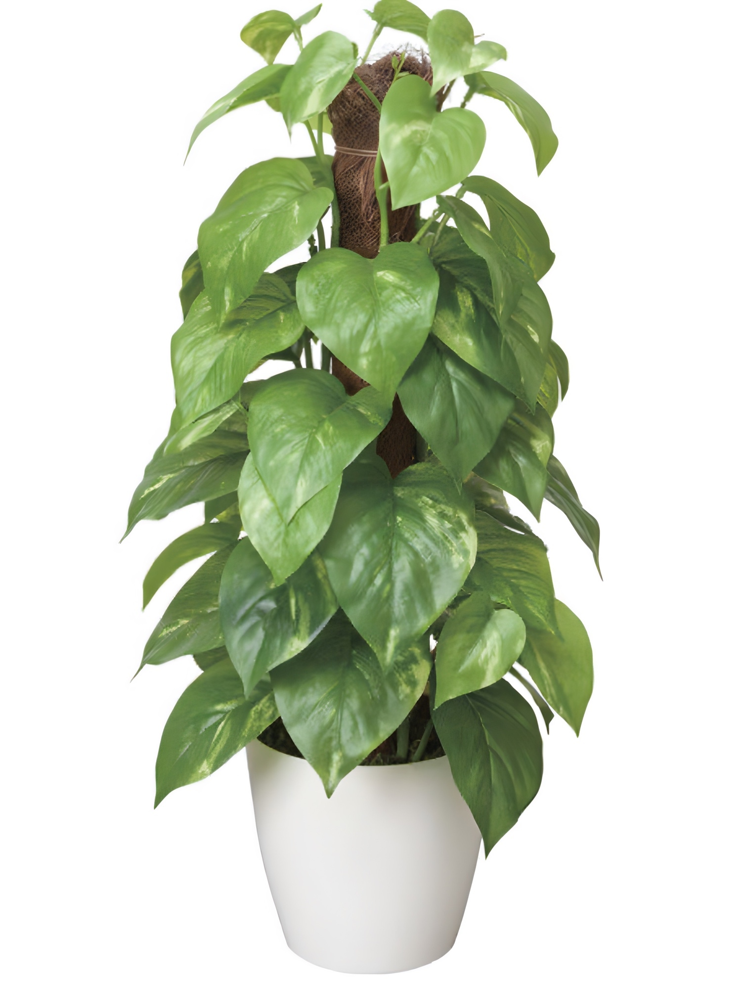 光触媒 人工観葉植物 ウォールグリーン フェイクグリーン フレッシュ 