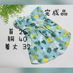 犬服『完成品　ハワイアンな　ブルー　ワンピース』
