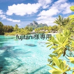 fujitani様専用