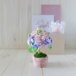 遅咲きの紫陽花こんまりプランター〈ハーフサイズ〉