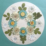 押し花セットM＜ノースポール＆アストランティア＆レースフラワー他＞