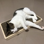 猫の爪とぎケース・爪研ぎ台　ダブル　MI