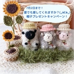ふわもこ羊ちゃん♡帽子プレゼントキャンペーン♪