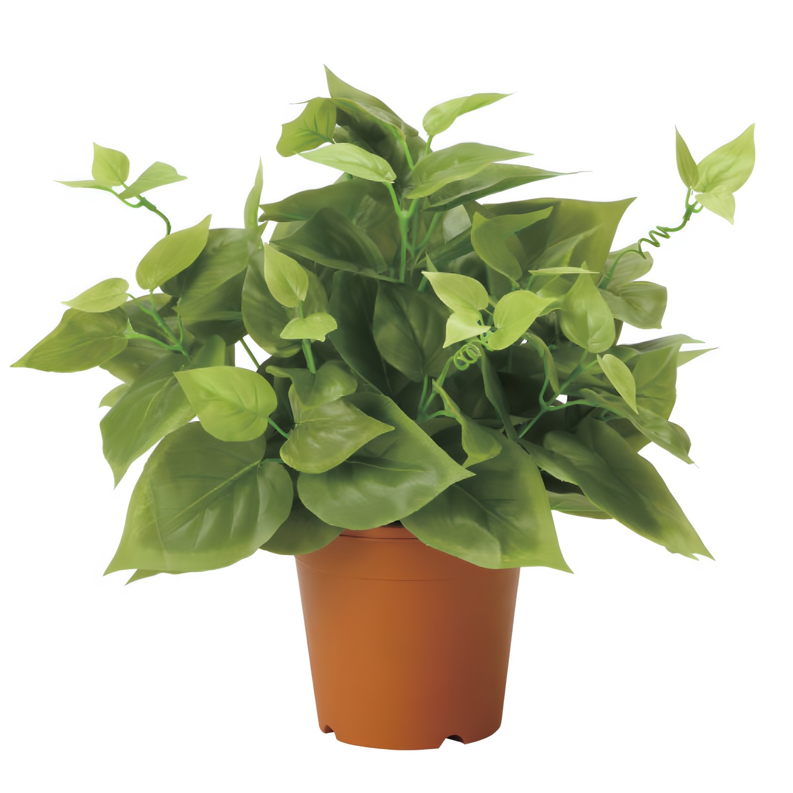光触媒　人工観葉植物　ウォールグリーン　フェイクグリーン　ライムポトス37