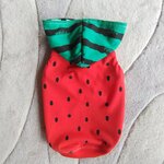 犬服！Msize！スイカ🍉