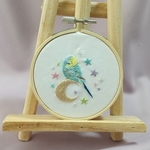星空にセキセイインコ