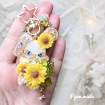 【うさぎ】太陽の陽射しをたくさん浴びたひまわりちゃん