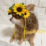 ｢専用です｣🌻犬 ひまわりのお帽子 夏の季節に
