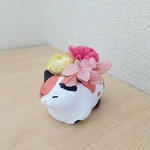 〈プリザーブドフラワー〉三毛猫