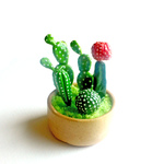 サボテンの寄せ植え