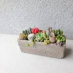 アンティーク調レンガ壁のおまかせ寄せ植え♡