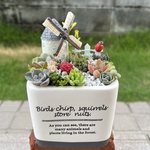 ★送料無料★♡そのまま飾れる♡陶器鉢♬ヨーロピアンガーデンの箱庭風多肉植物寄せ植え╰(*´︶`*)╯♡