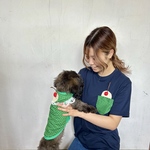 クリームソーダセット