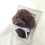 belpagu1114様専用　羊毛フェルト　トイプードル