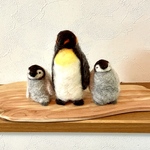 コウテイペンギン親子