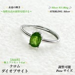 【高品質】クロムダイオプサイト✨Silver.925💍ジュエリー天然石リング指輪🆓フリーサイズ💍