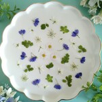 押し花素材212　小花のミックスセット　花材　ブルー　ホワイト　グリーン