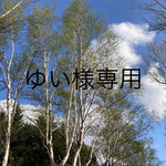 さざれ石　モリオン