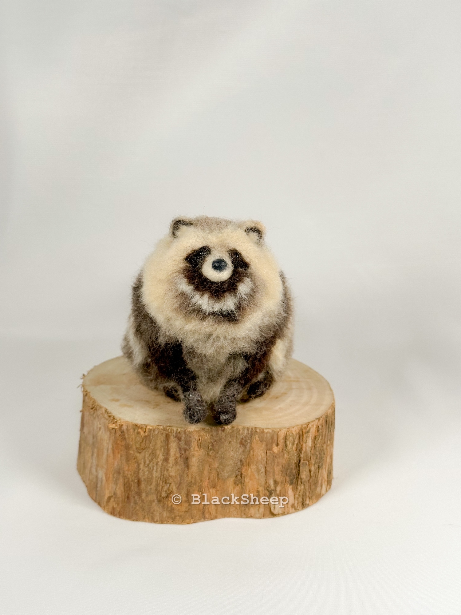 羊毛フェルト 手乗りエゾタヌキ - Black Sheep Needle Felting Animals