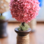 小花のトピアリー　ピンク