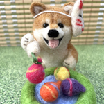 夏祭り🏮縁日のヨーヨー釣りを楽しむ柴犬ちゃん🐕羊毛フェルト