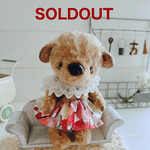 𖡼.𖤣𖥧⚘  テディベア  𖡼.𖤣𖥧⚘  girl