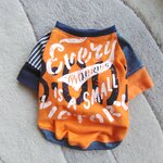 犬服！オシャレTシャツ