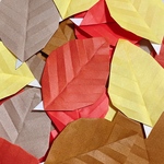 【送料無料】落ち葉 葉っぱ 秋 まとめ売り 折り紙 ハンドメイド 9月10月 11月 紅葉