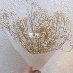 専用♡