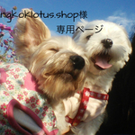 bangkoklotus.shop