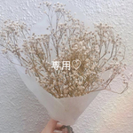 専用♡
